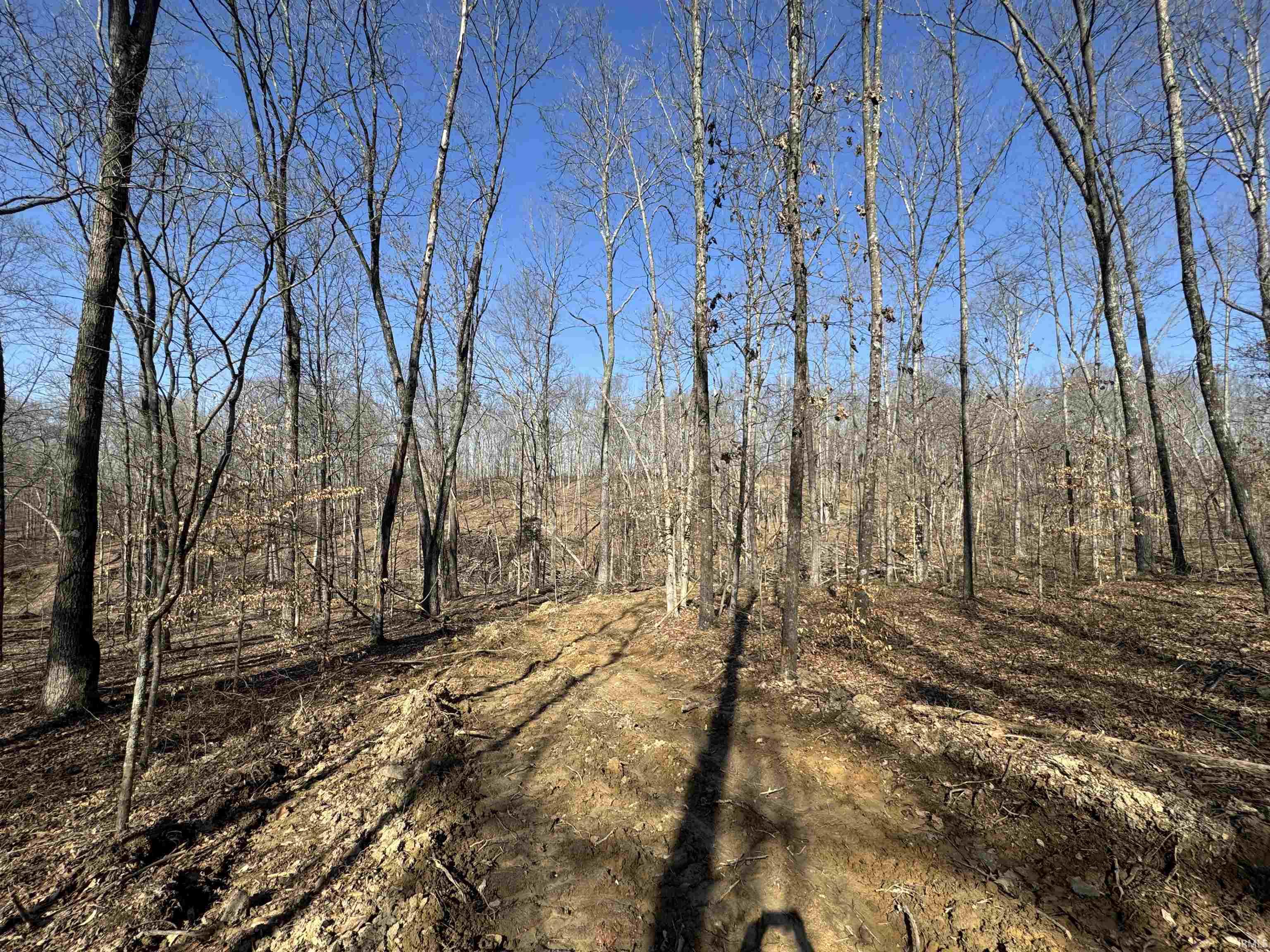 1 Off Meadows Heltonville, IN 47436 - Photo 8 of 23