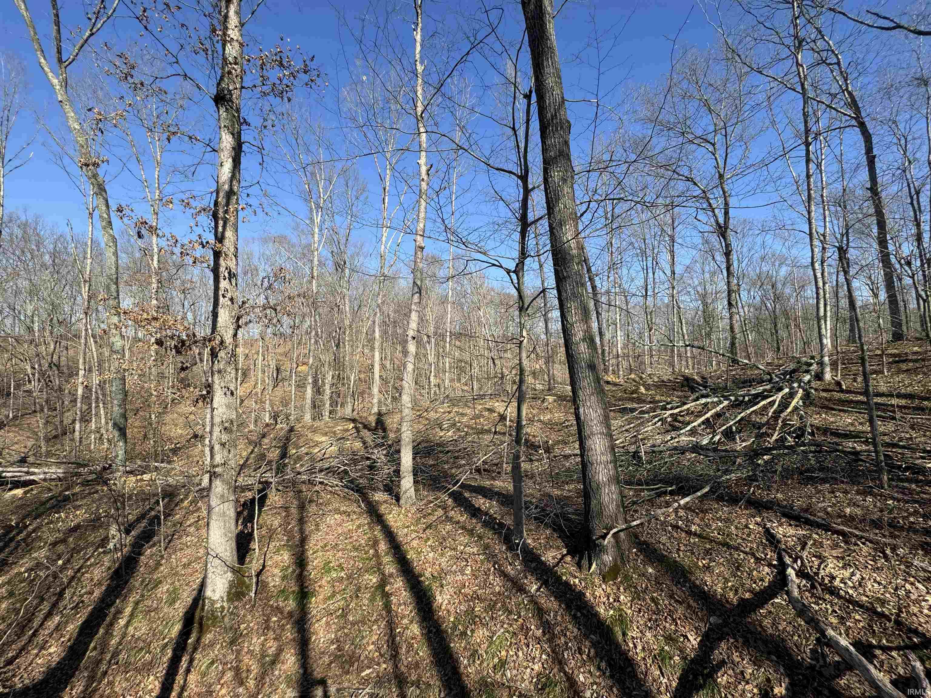 1 Off Meadows Heltonville, IN 47436 - Photo 9 of 23