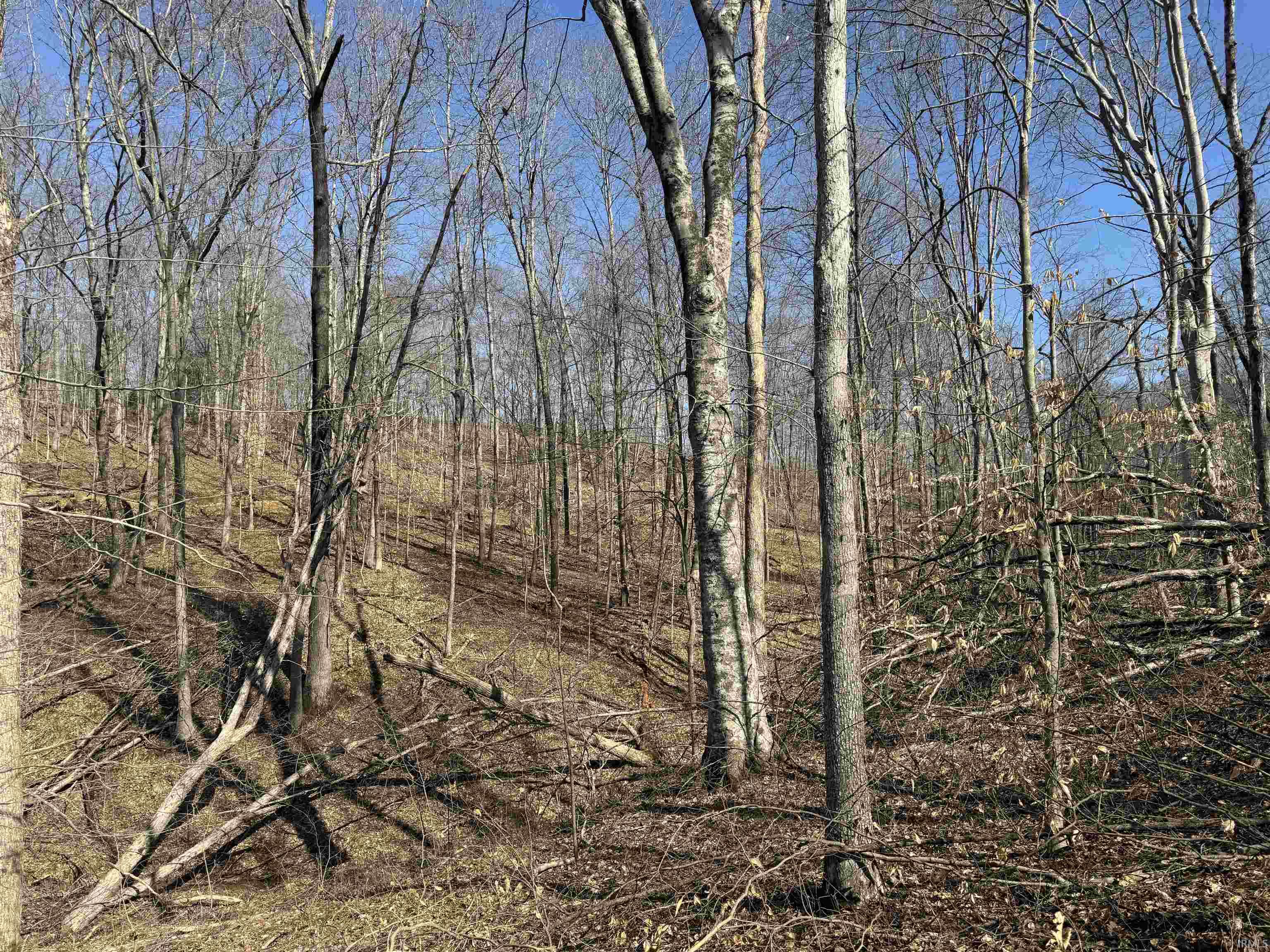 1 Off Meadows Heltonville, IN 47436 - Photo 10 of 23