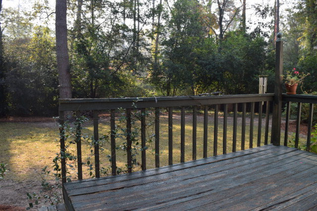 730 West Rollingwood Road Aiken, SC 29801 - Photo 30 of 36
