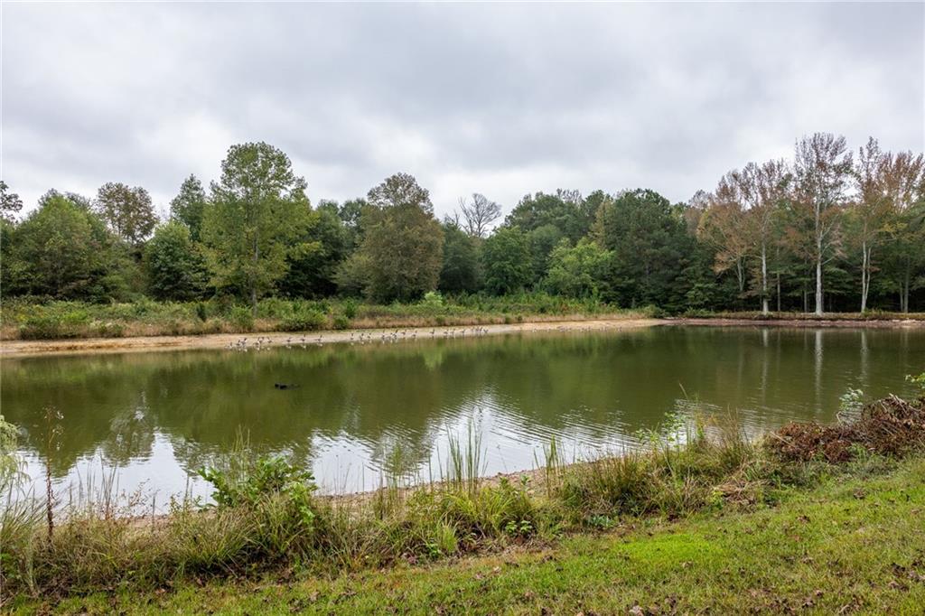 265 Honeysuckle Lane Temple, GA 30179 - Photo 38 of 45 a view of a lake with a yard and trees