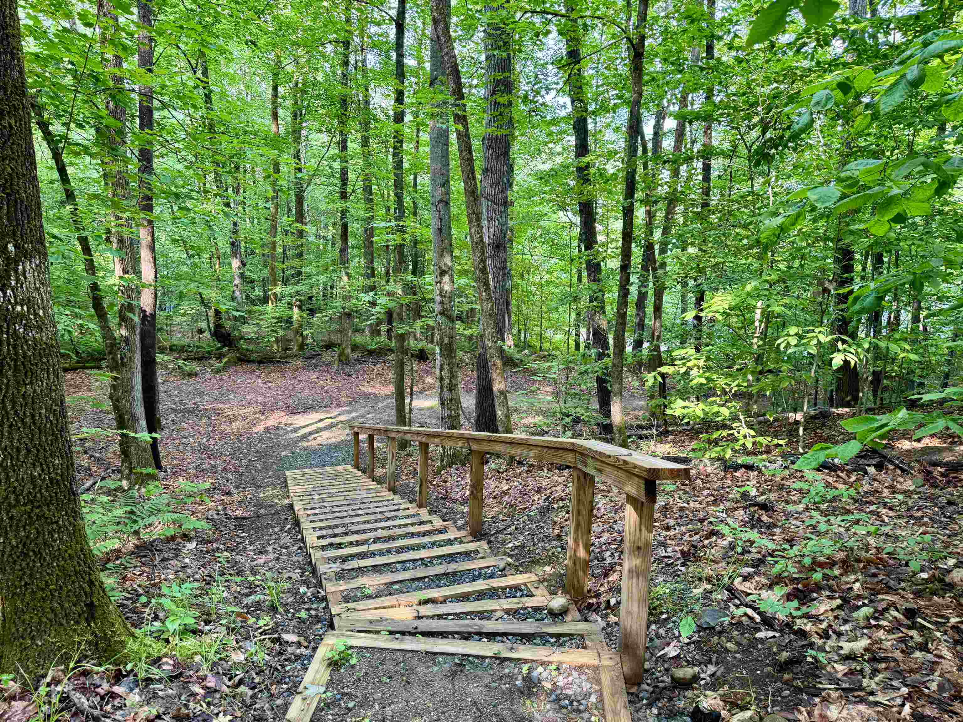 228 Birch Landing Road, Unit 27 Plymouth, VT 05149 - Photo 40 of 54