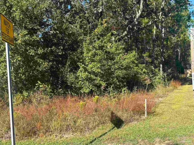 a view of a yard with swimming pool