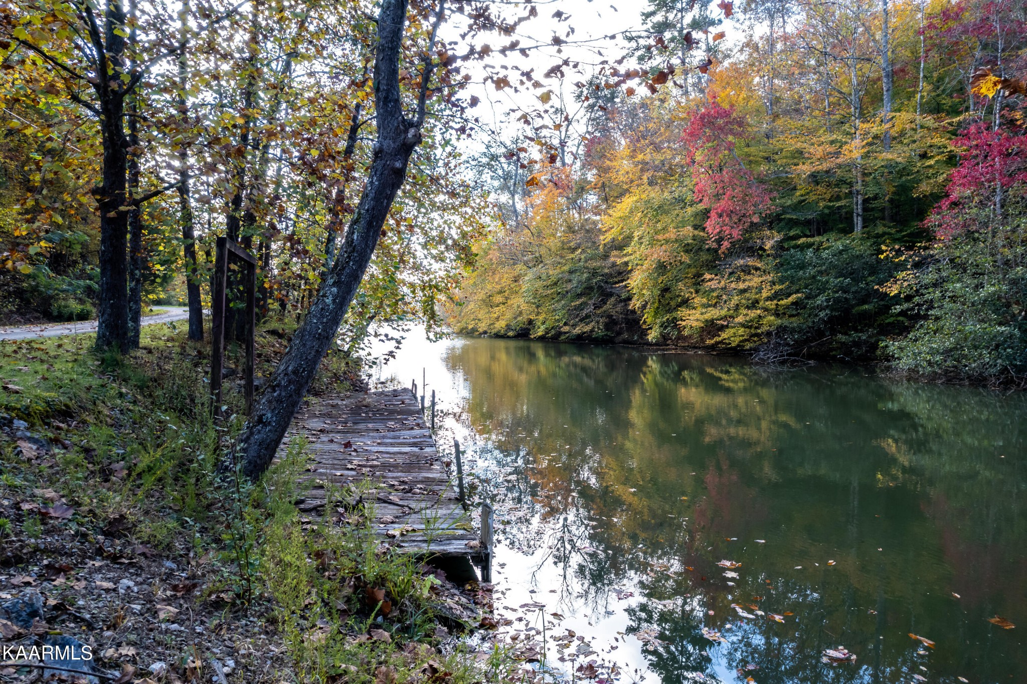 710 Scenic River Road Madisonville, TN 37354 - Photo 34 of 43 a view of lake