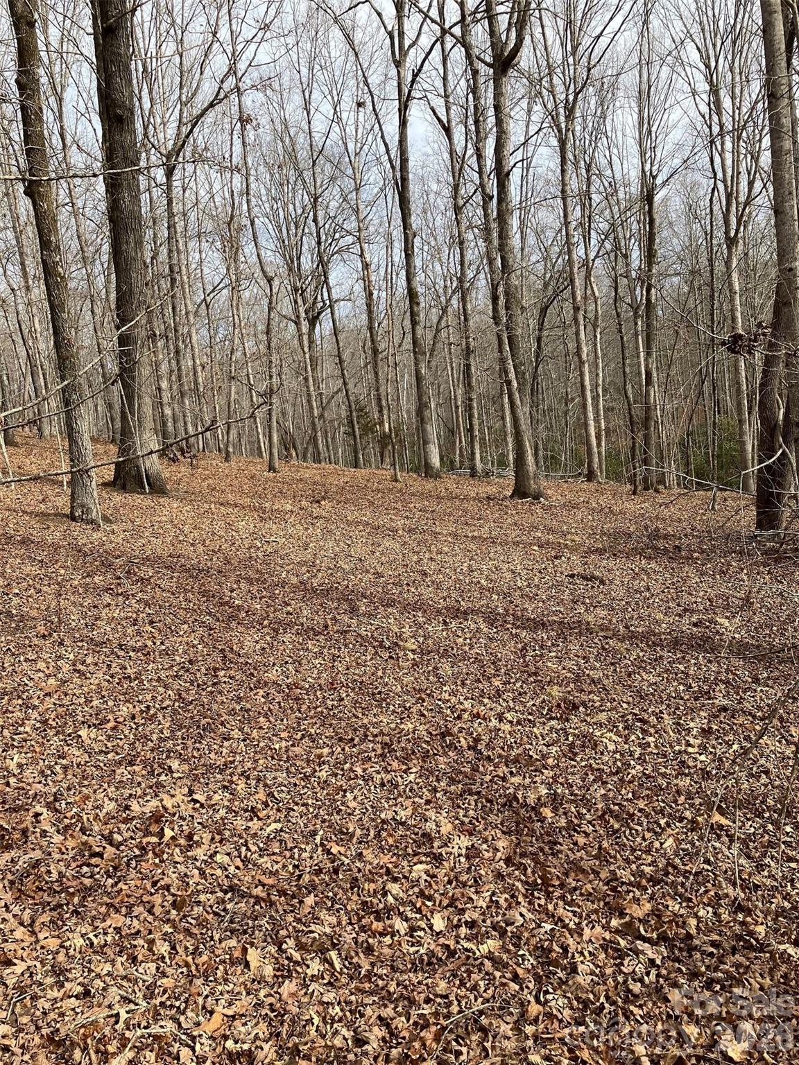 Lot 7 Springbrook Court Tryon, NC 28782 - Photo 2 of 6