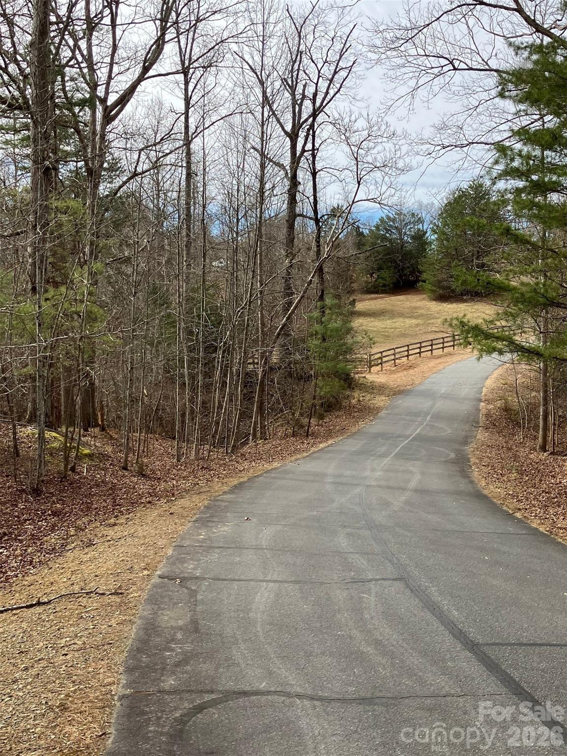 Lot 7 Springbrook Court Tryon, NC 28782 - Photo 5 of 6 a view of a yard with trees