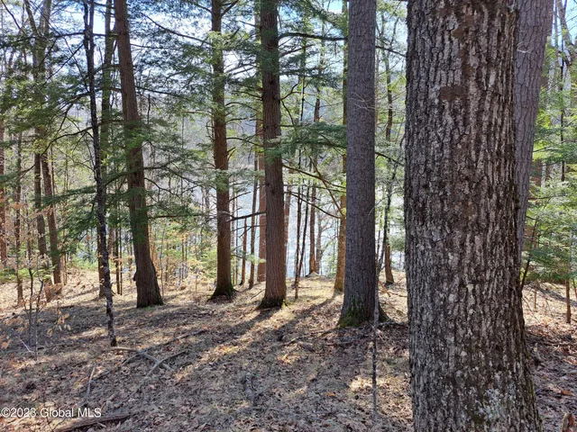 $649,900 | L57 Ny-28, Fort Plain, NY 13339