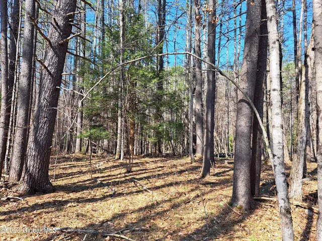 $649,900 | L57 Ny-28, Fort Plain, NY 13339