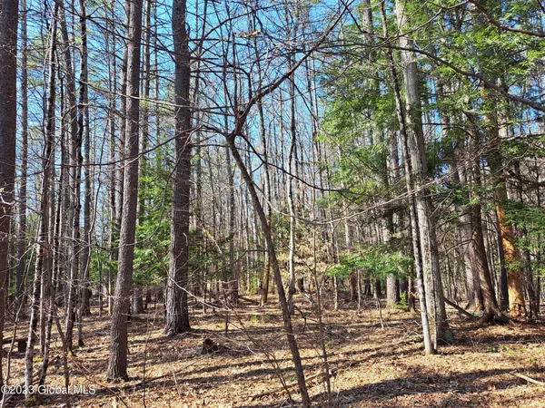 $649,900 | L57 Ny-28, Fort Plain, NY 13339