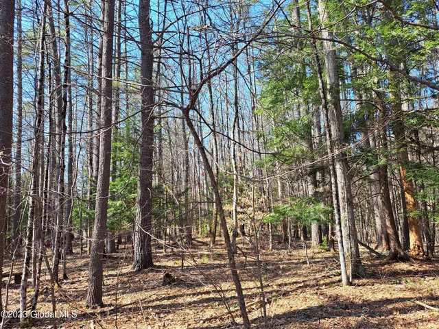 $649,900 | L57 Ny-28, Fort Plain, NY 13339