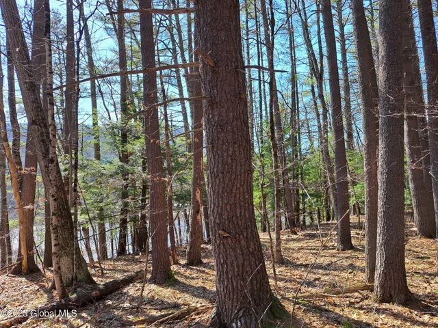 $649,900 | L57 Ny-28, Fort Plain, NY 13339