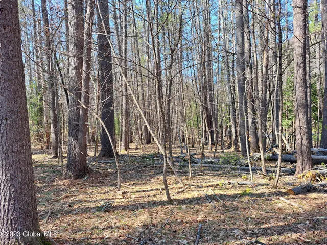 $649,900 | L57 Ny-28, Fort Plain, NY 13339