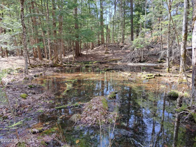 $649,900 | L57 Ny-28, Fort Plain, NY 13339