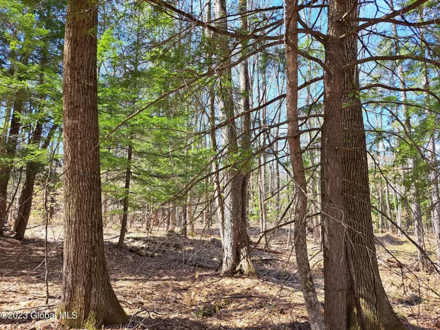 $649,900 | L57 Ny-28, Fort Plain, NY 13339