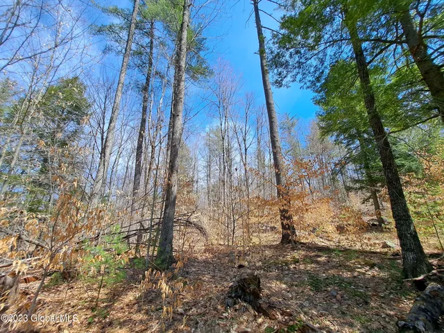 $649,900 | L57 Ny-28, Fort Plain, NY 13339