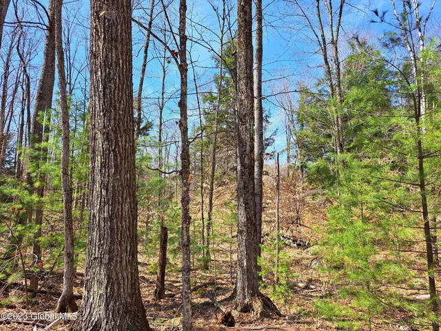 $649,900 | L57 Ny-28, Fort Plain, NY 13339