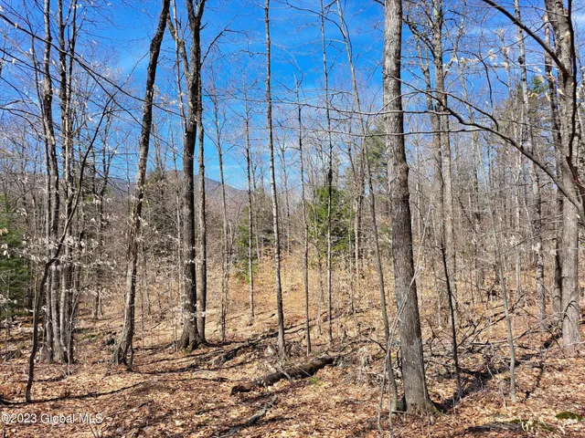 $649,900 | L57 Ny-28, Fort Plain, NY 13339