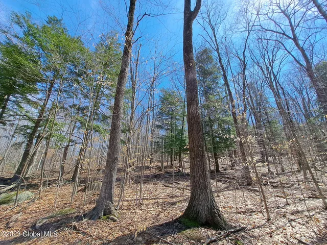 $649,900 | L57 Ny-28, Fort Plain, NY 13339