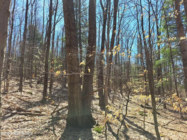 $649,900 | L57 Ny-28, Fort Plain, NY 13339