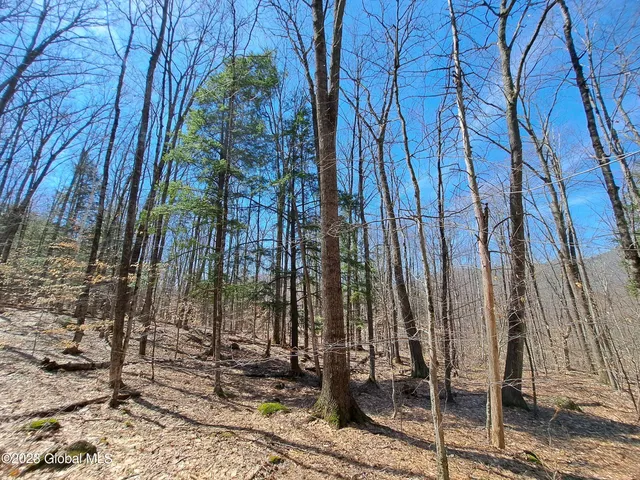 $649,900 | L57 Ny-28, Fort Plain, NY 13339