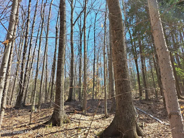 $649,900 | L57 Ny-28, Fort Plain, NY 13339