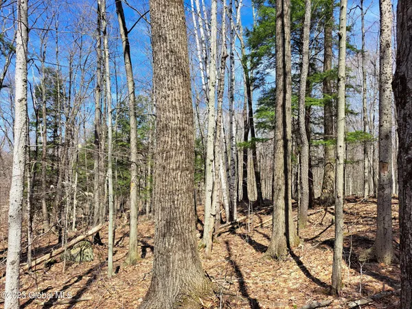$649,900 | L57 Ny-28, Fort Plain, NY 13339