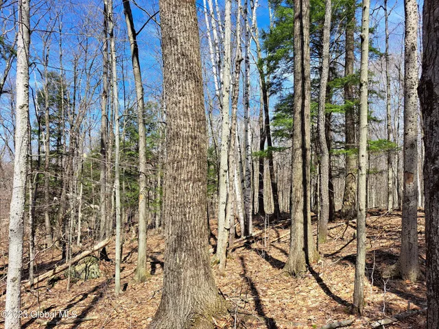 $649,900 | L57 Ny-28, Fort Plain, NY 13339