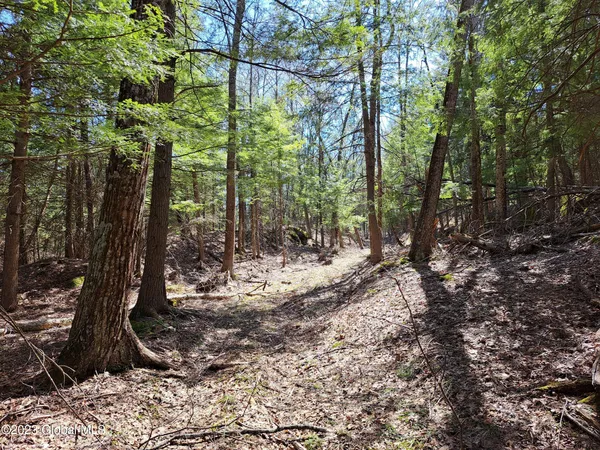 $649,900 | L57 Ny-28, Fort Plain, NY 13339