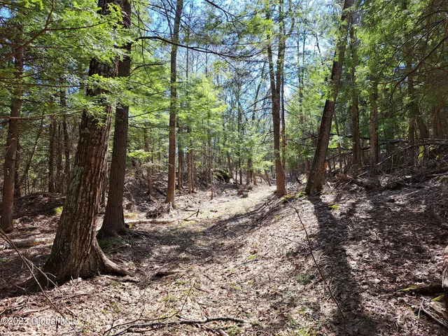 $649,900 | L57 Ny-28, Fort Plain, NY 13339