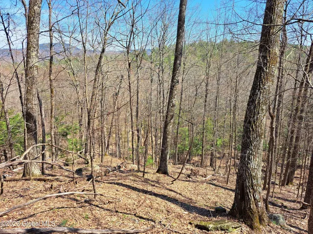 $649,900 | L57 Ny-28, Fort Plain, NY 13339