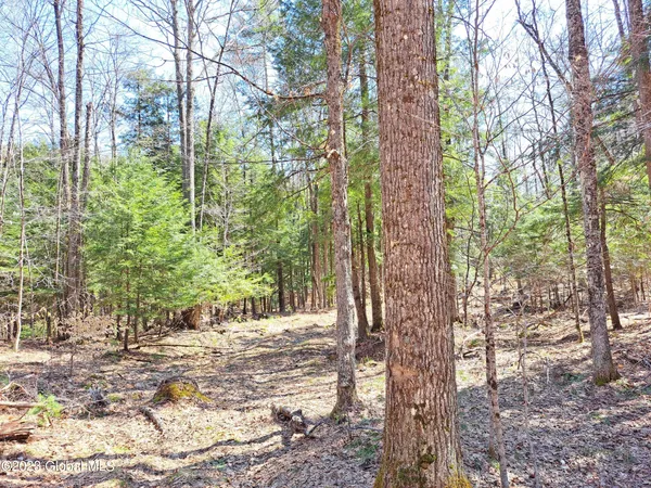 $649,900 | L57 Ny-28, Fort Plain, NY 13339