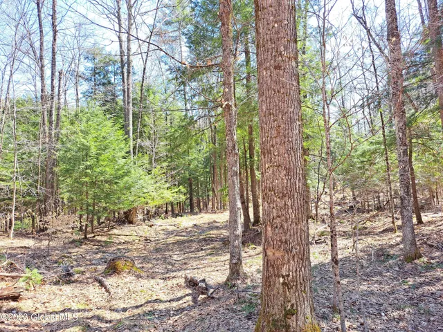 $649,900 | L57 Ny-28, Fort Plain, NY 13339