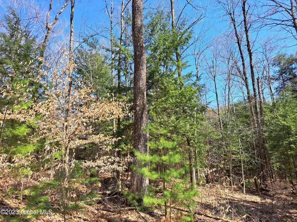 $649,900 | L57 Ny-28, Fort Plain, NY 13339