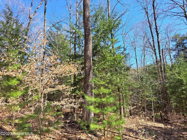 $649,900 | L57 Ny-28, Fort Plain, NY 13339