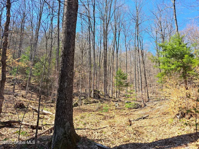 $649,900 | L57 Ny-28, Fort Plain, NY 13339