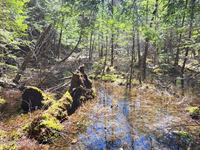 $649,900 | L57 Ny-28, Fort Plain, NY 13339