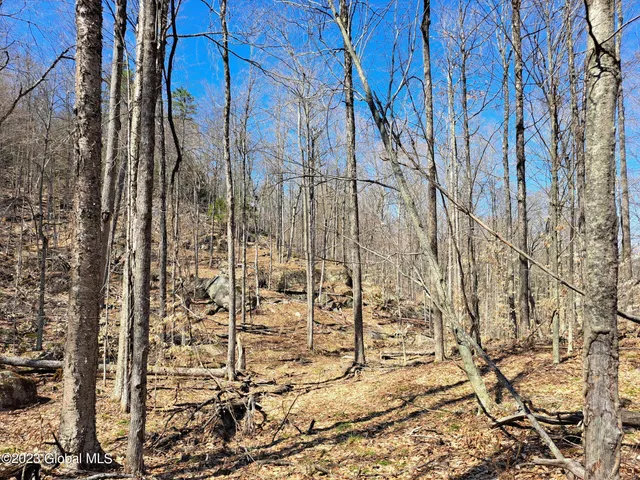 $649,900 | L57 Ny-28, Fort Plain, NY 13339