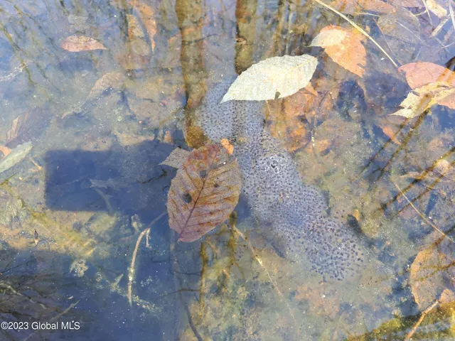 $649,900 | L57 Ny-28, Fort Plain, NY 13339