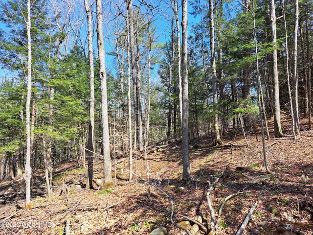 $649,900 | L57 Ny-28, Fort Plain, NY 13339