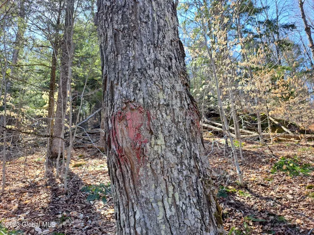 $649,900 | L57 Ny-28, Fort Plain, NY 13339