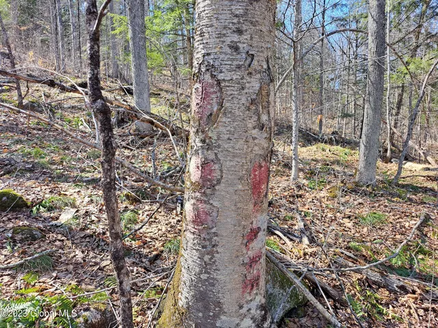 $649,900 | L57 Ny-28, Fort Plain, NY 13339