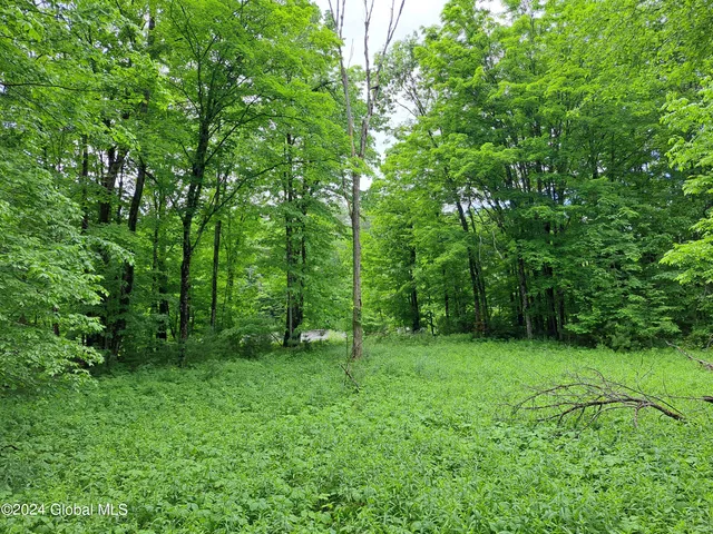 $649,900 | L57 Ny-28, Fort Plain, NY 13339