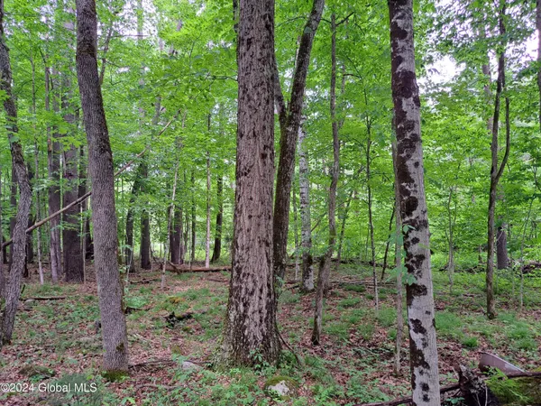 $649,900 | L57 Ny-28, Fort Plain, NY 13339