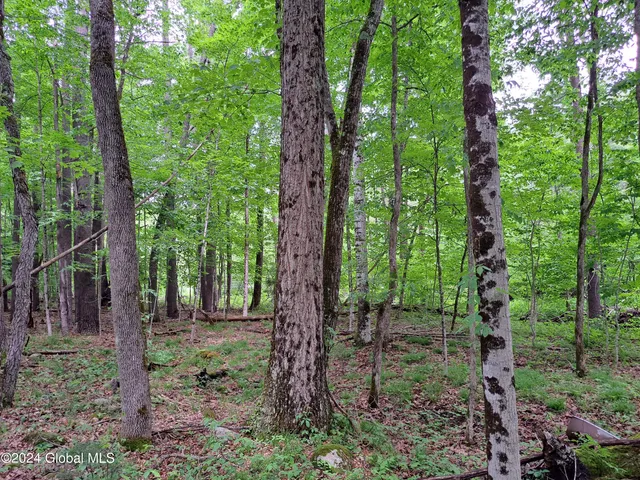 $649,900 | L57 Ny-28, Fort Plain, NY 13339