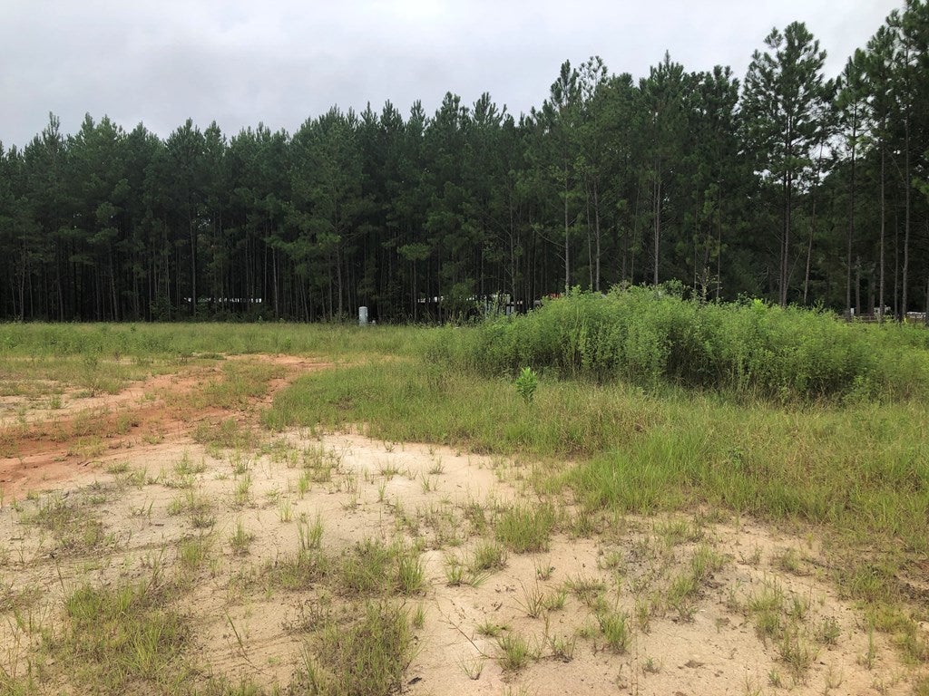 5335 Shiloh Road Hahira, GA 31632 - Photo 30 of 34 Gallery Image 30
