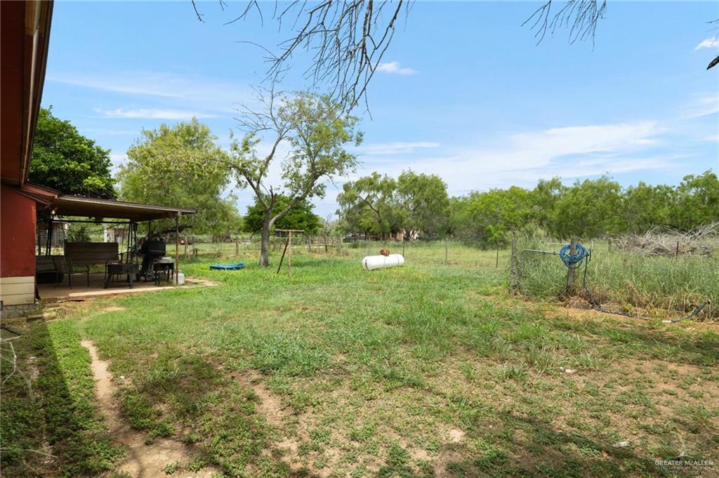 251 Delmita Road Delmita, TX 78536 - Photo 12 of 13 View of yard