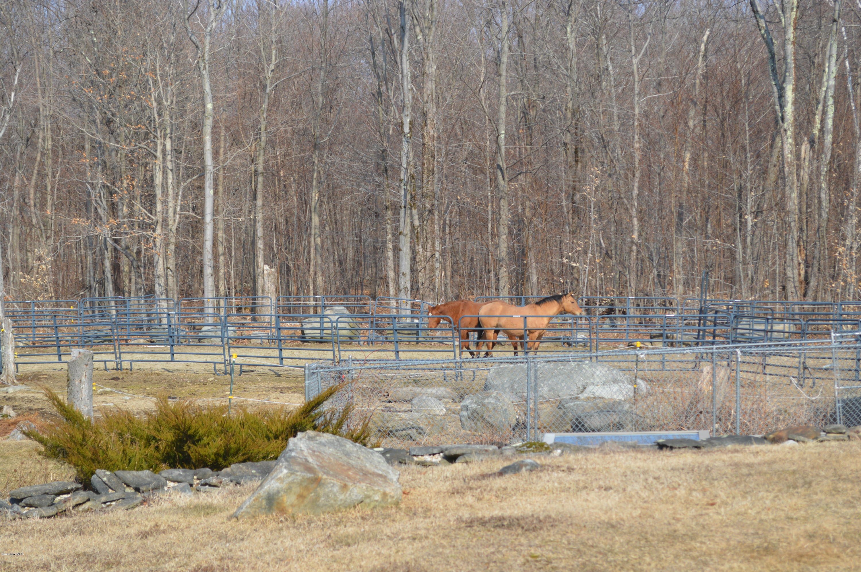 759 George Carter Road Becket, MA 01223 - Photo 21 of 56 a view of a swimming pool with a patio