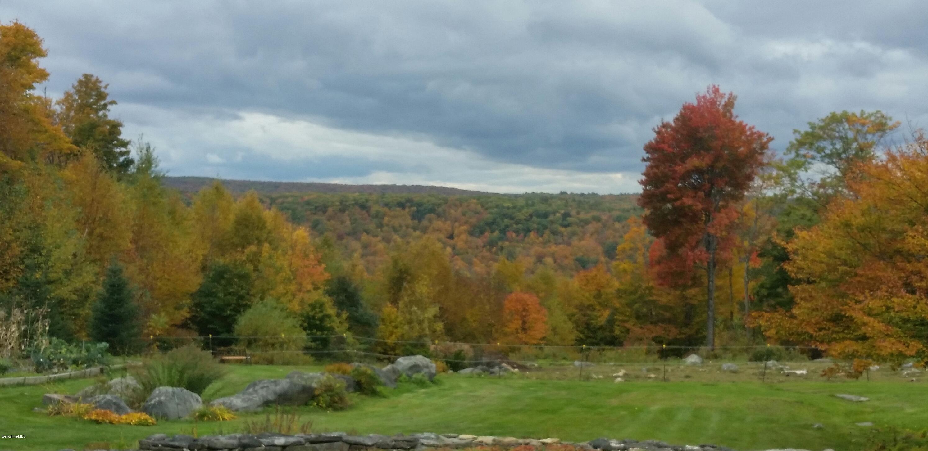 759 George Carter Road Becket, MA 01223 - Photo 23 of 56 a view of a yard with trees & house in the background