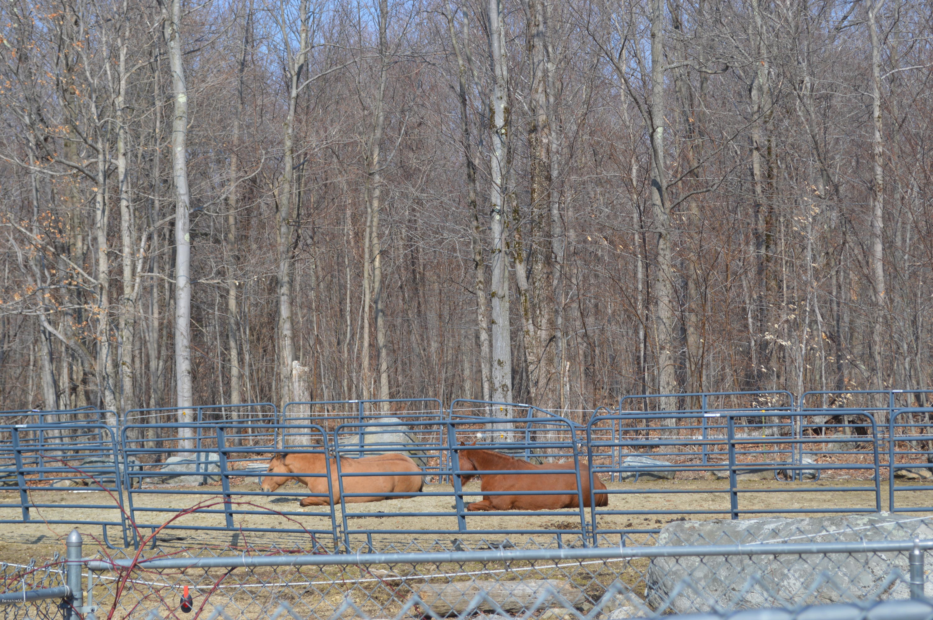 759 George Carter Road Becket, MA 01223 - Photo 28 of 56 a view of a terrace with wooden fence