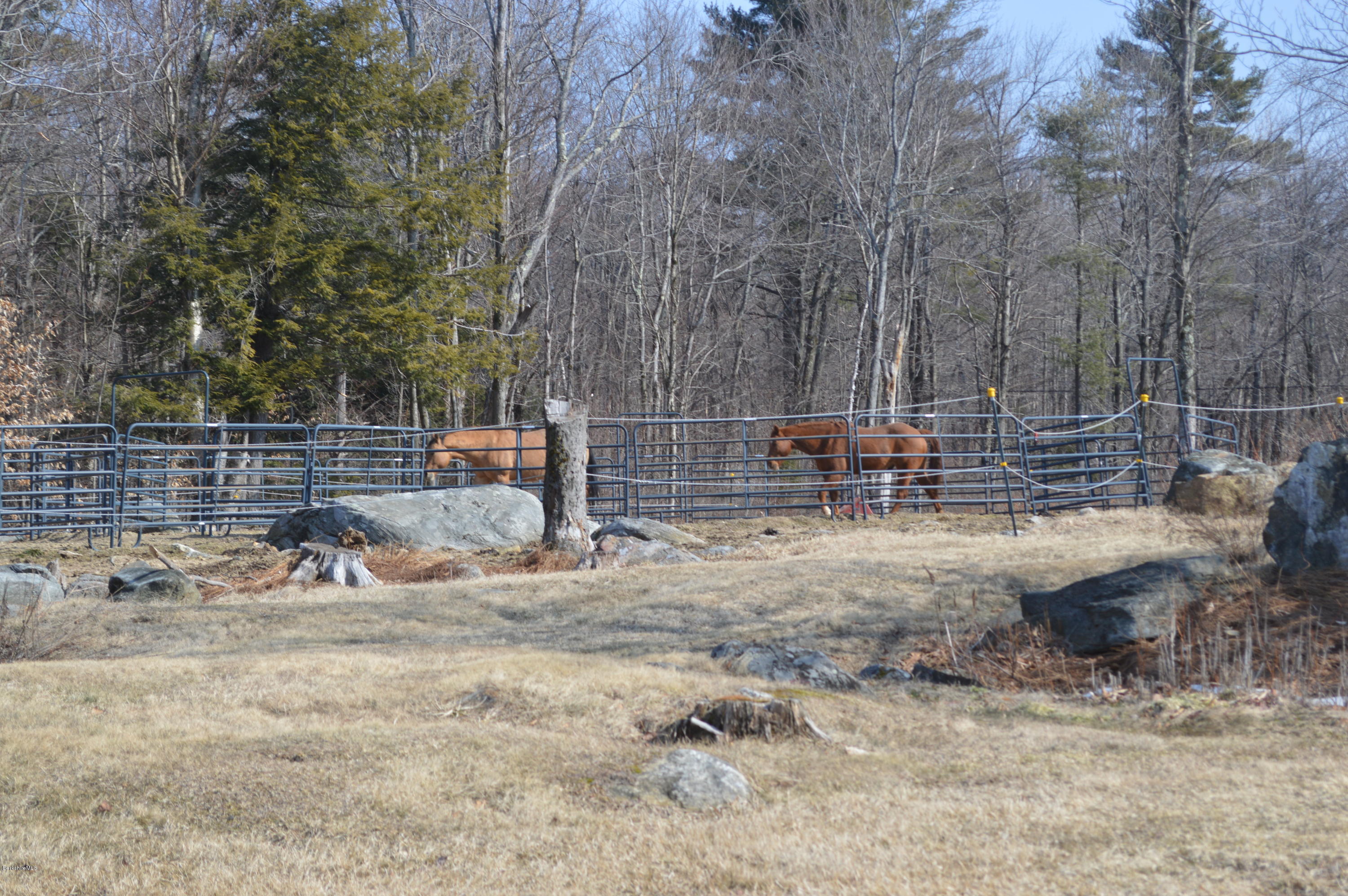 759 George Carter Road Becket, MA 01223 - Photo 29 of 56 a view of backyard with wooden fence and sitting area